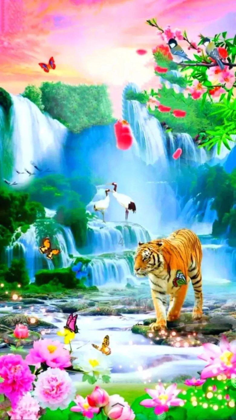 探秘经典好看小说五十部推荐?——知识星球平台